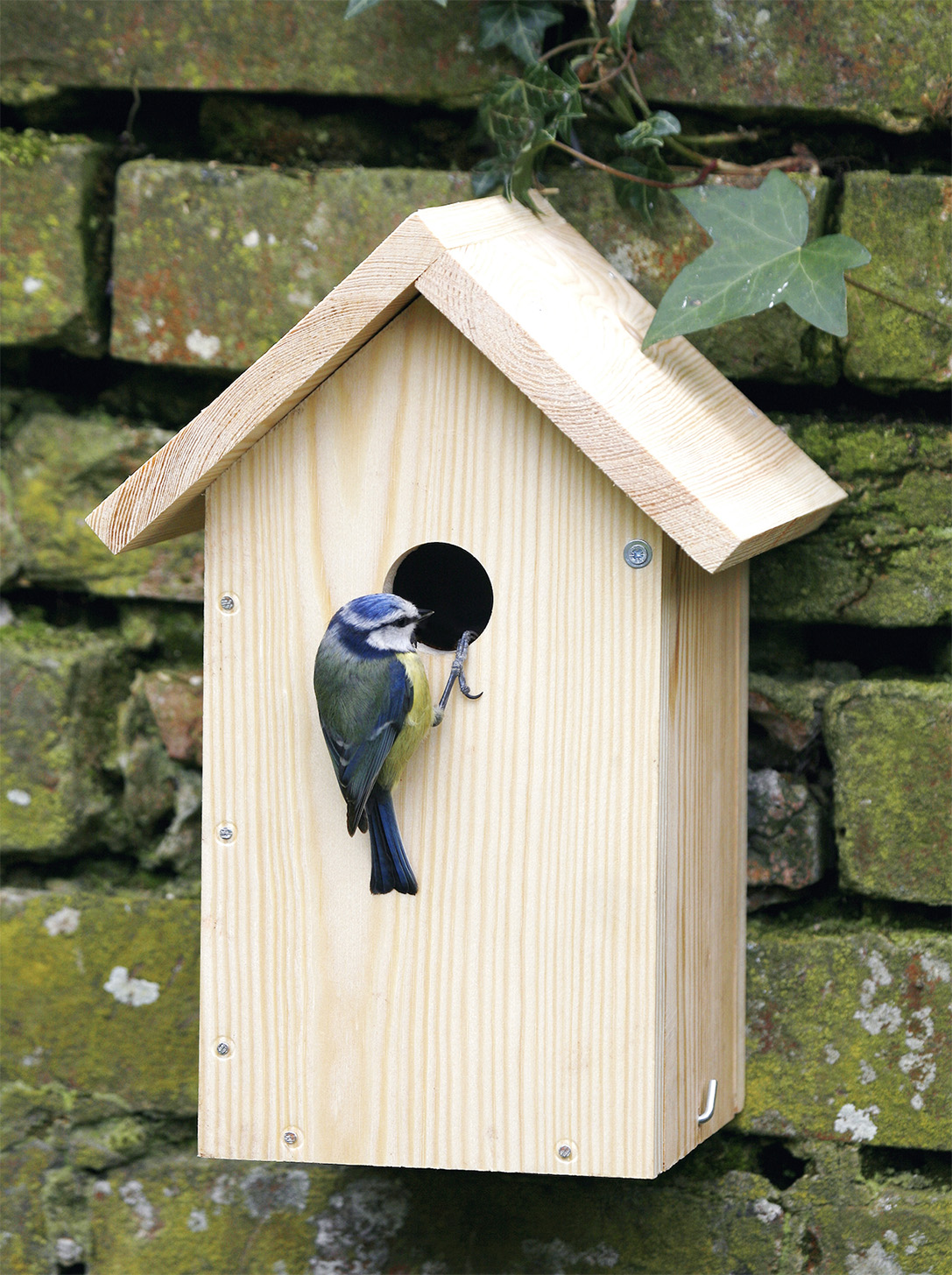 For the nature lover..build your own FSC-cert wood nest box from The National Trust. £14