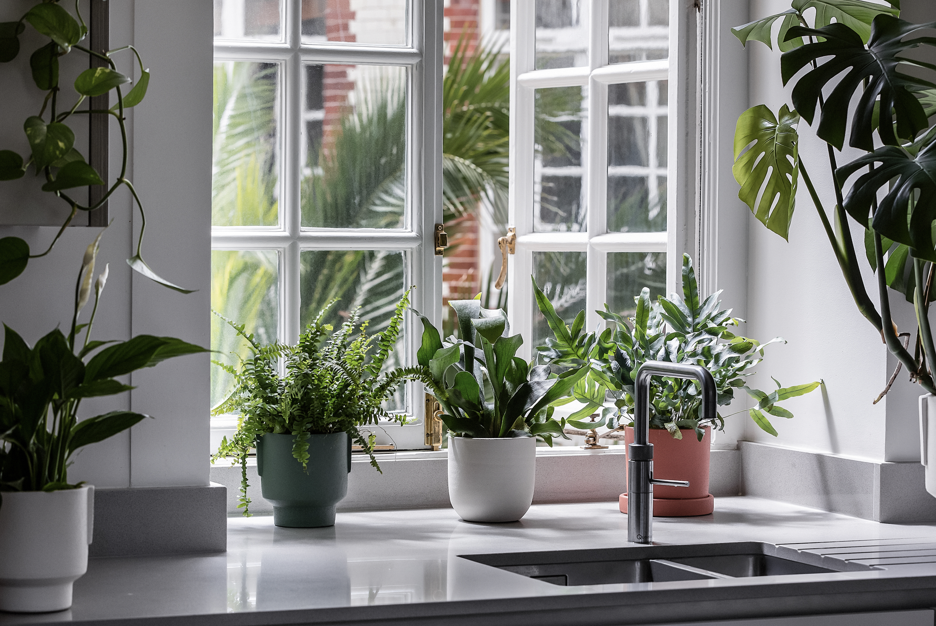 Fill your place with pot plants