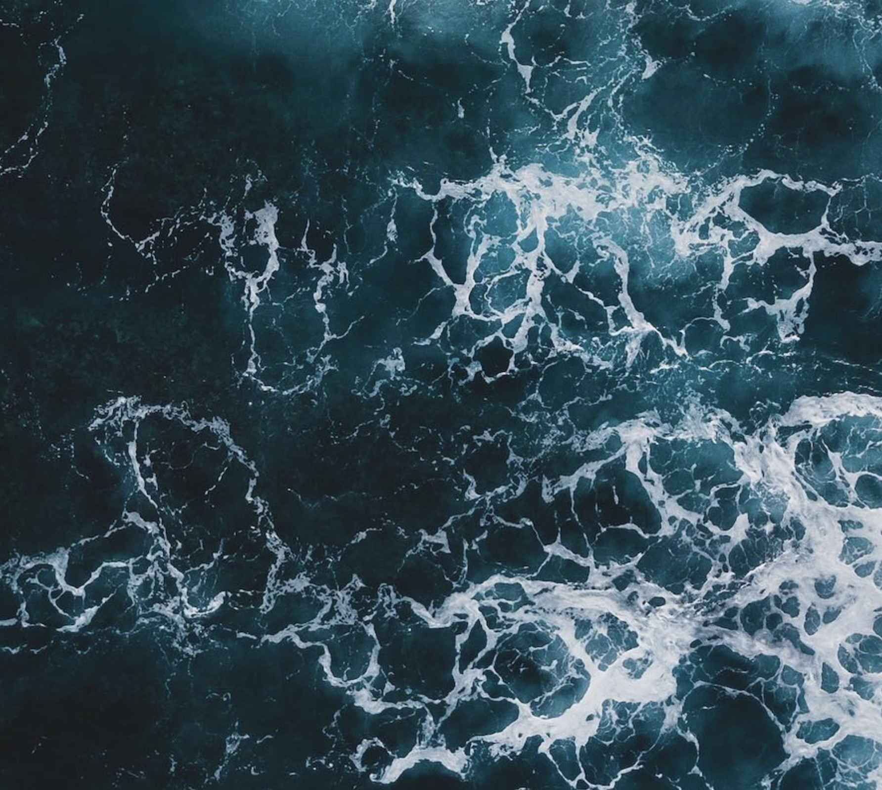 The health of the oceans is key to health of the planet The health of the oceans is key to health of the planet