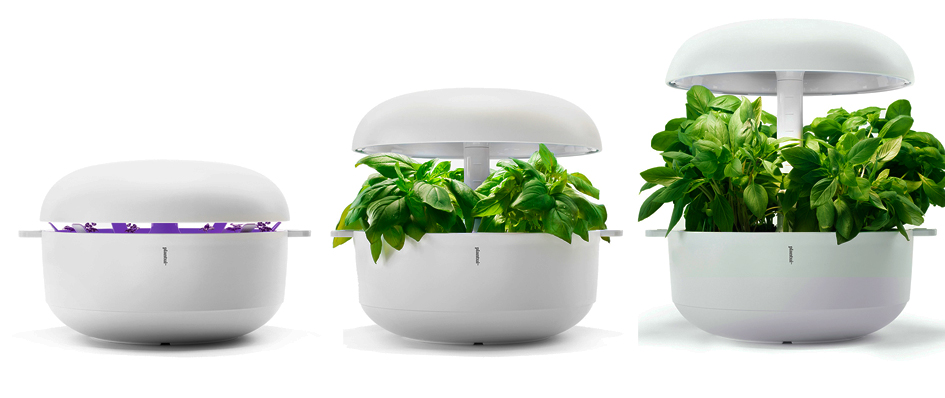 Plantui 6 indoor hydroponic system for growing salad and herbs, £195, www.plantui.com