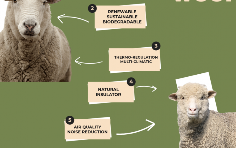 The Campaign for Wool urges us to celebrate and use wool